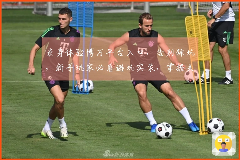 亲身体验博万平台入口，告别踩坑，新手玩家必看避坑实录，掌握关键细节直达收益