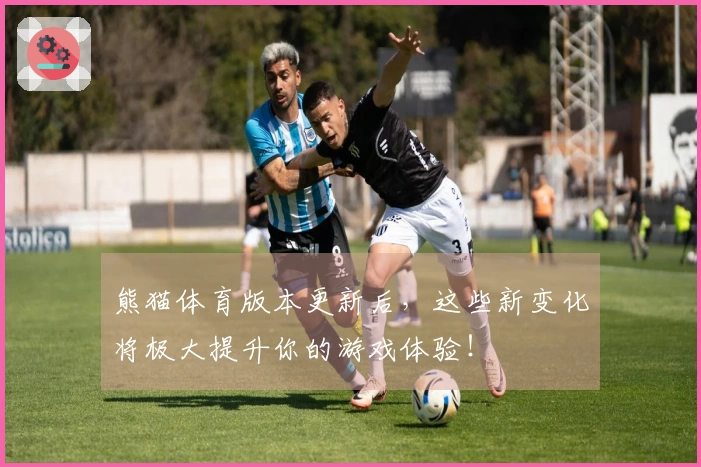 熊猫体育版本更新后,这些新变化将极大提升你的游戏体验!